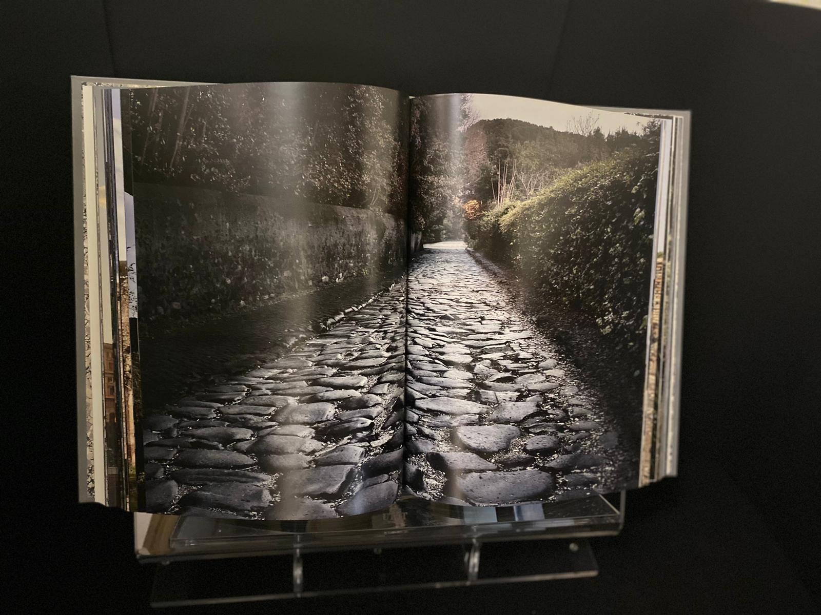 Rome, an empire at the roots of Europe - FMR Art'è