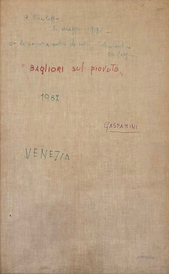 Bruna Gasparini - Bagliori sul piovuto