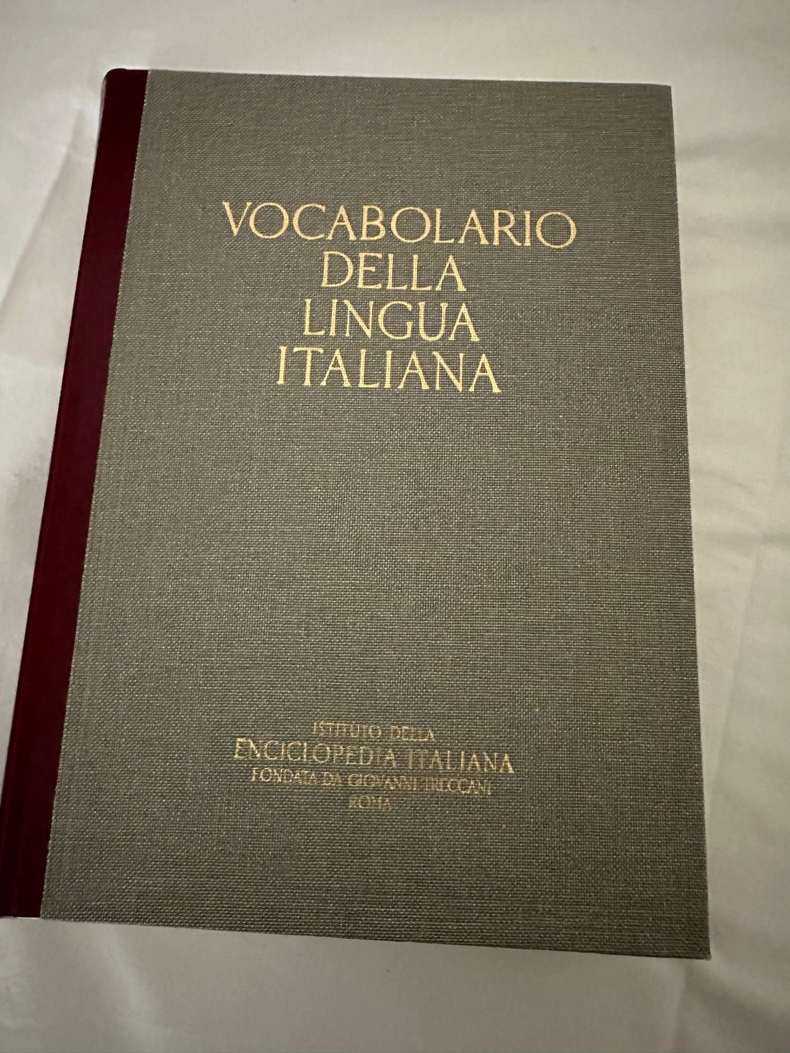 Vocabulario del idioma italiano - Treccani