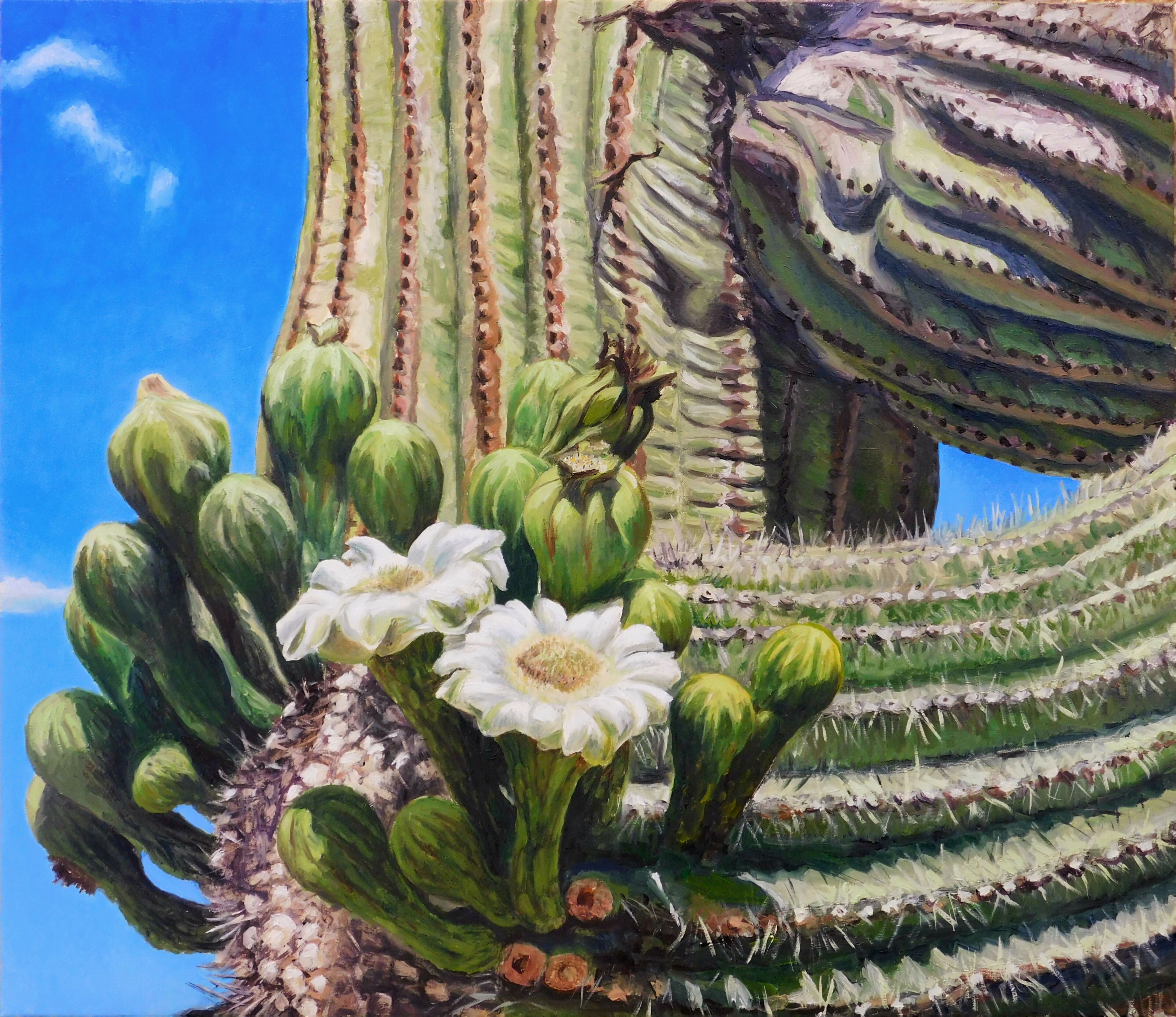 Cactus II