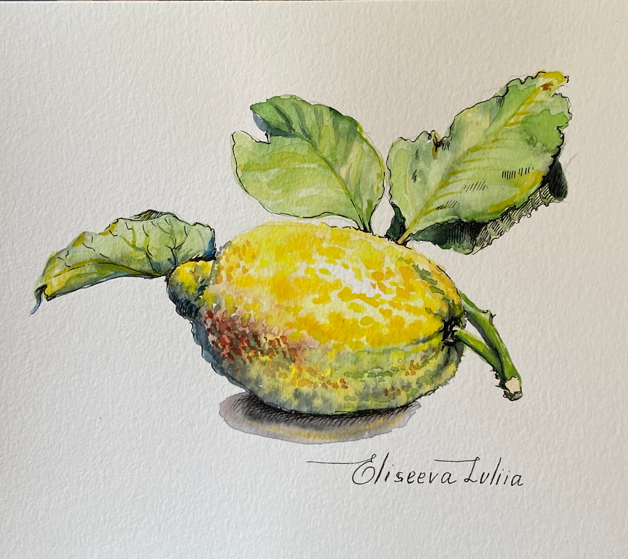 Lemon