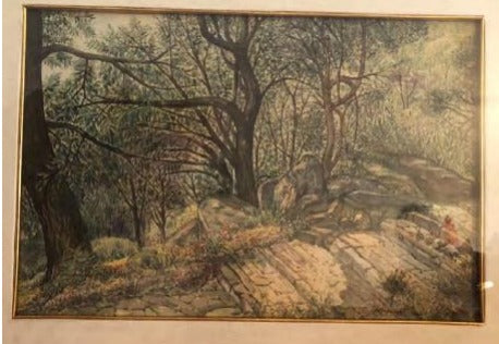 Woods
