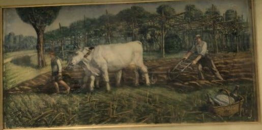 Oxen with plow