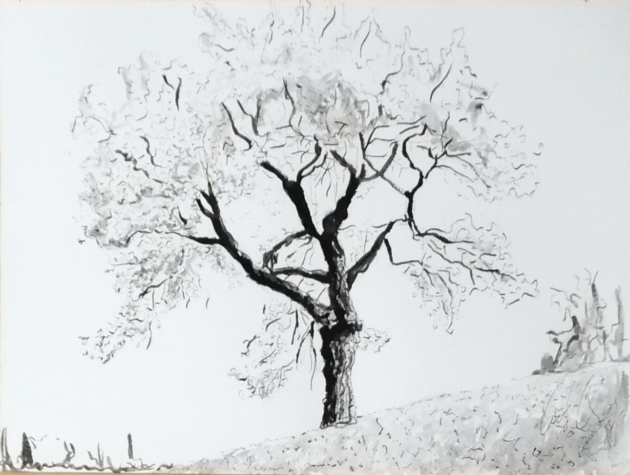 Carlo Oreglia - Tree