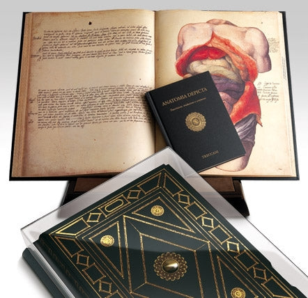 Anatomía descrita - Treccani