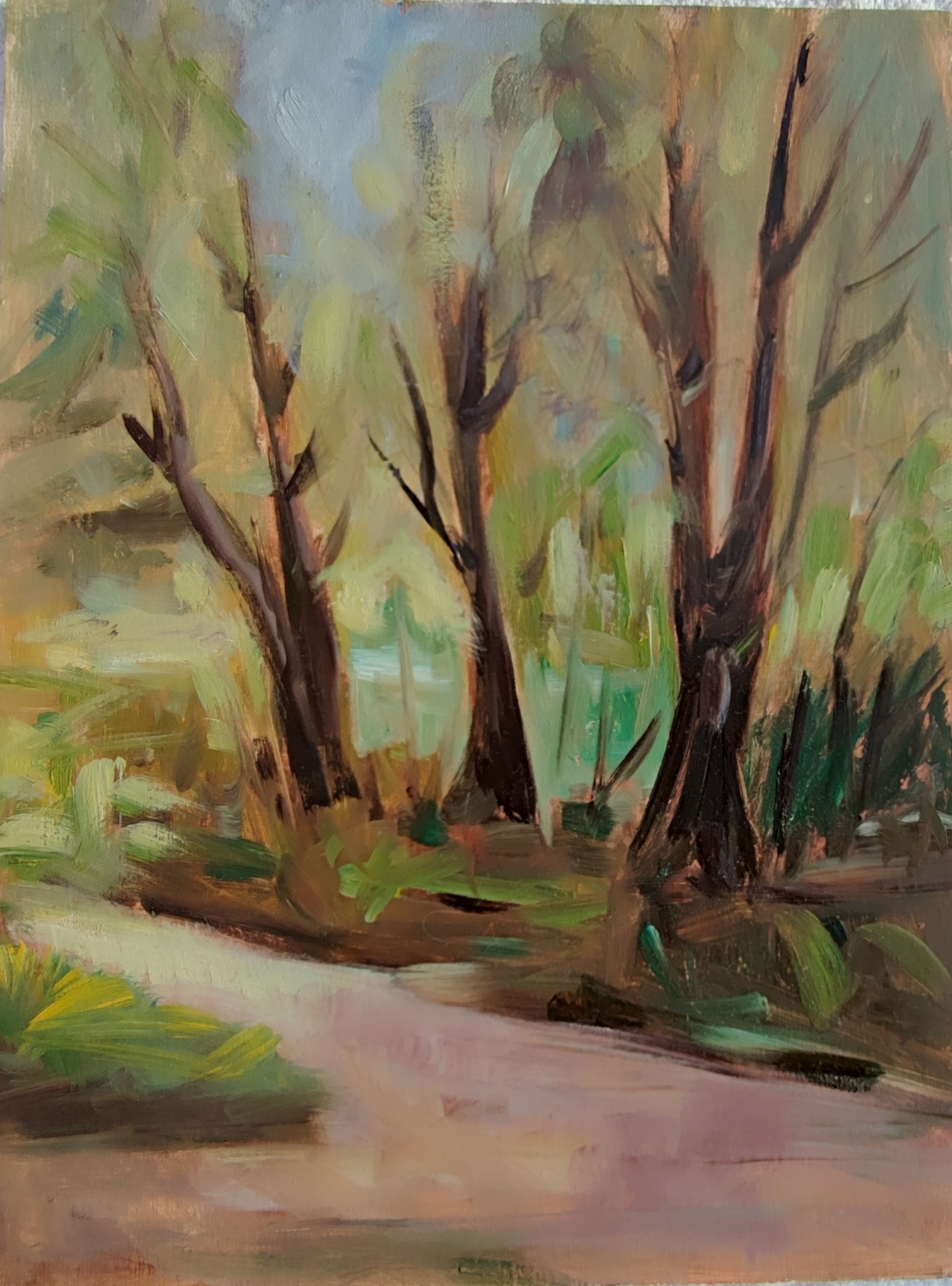 Corner of my village