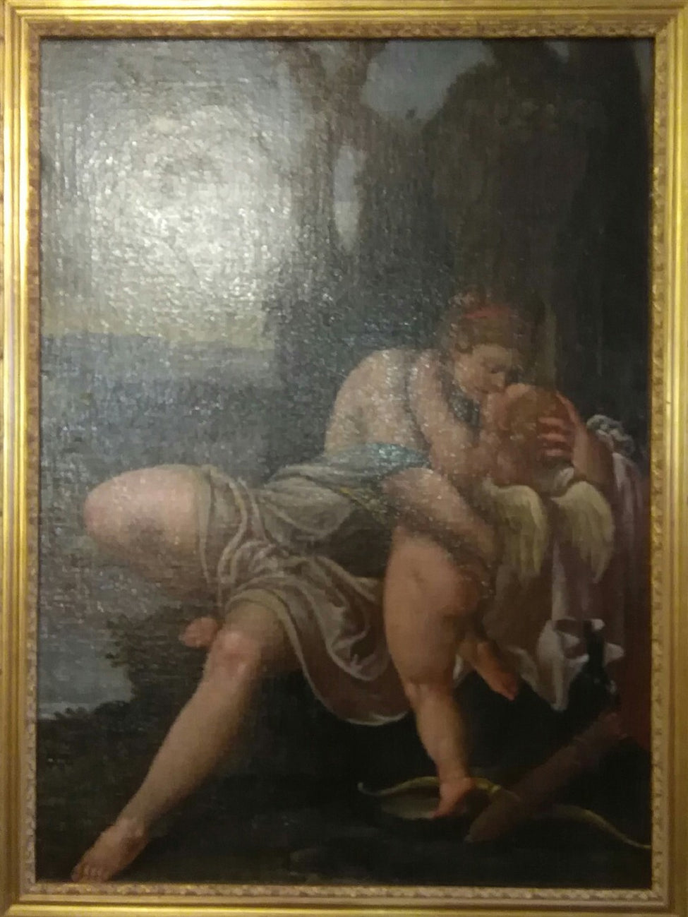 Alessandro Varotari - Venere e Cupido