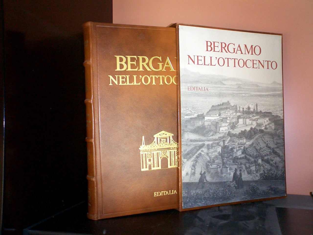 Brescia in History, Como and the Lario, Bergamo in the 19th Century, the Gonzagas in Mantua, Guelph and Ghibelline Cremona, the Viscontis and the Sforzas in Milan, Mantua in the 19th Century - Editalia
