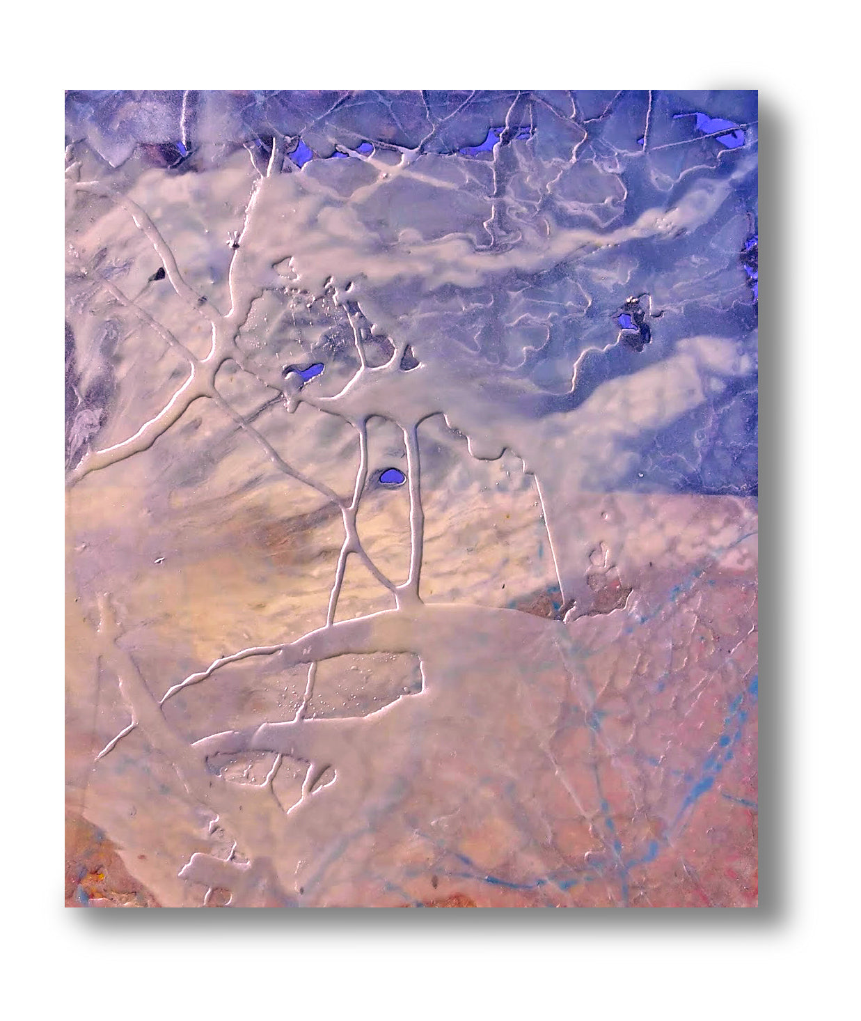 Riccardo Saltini - Bluenet