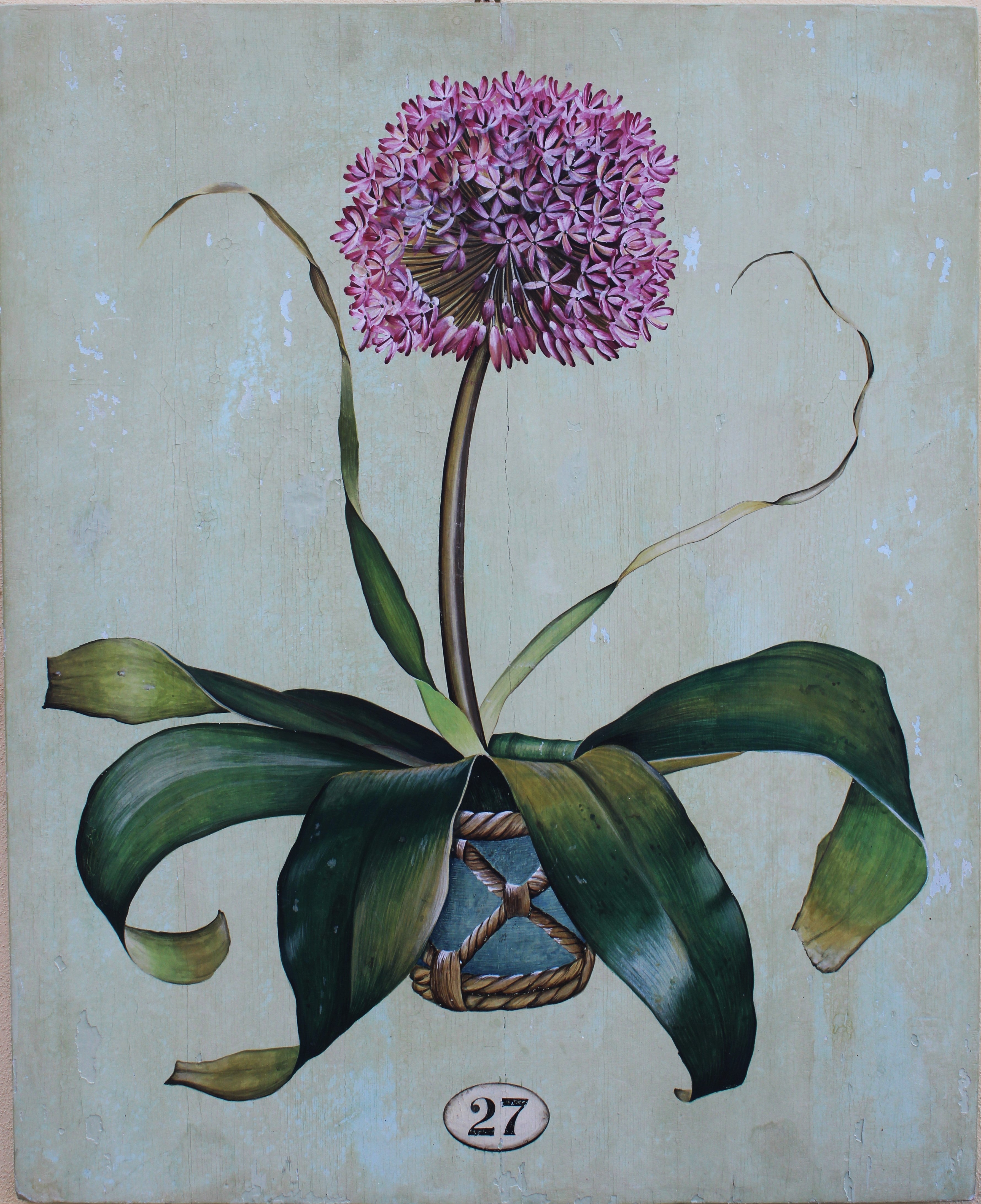 Botany 27