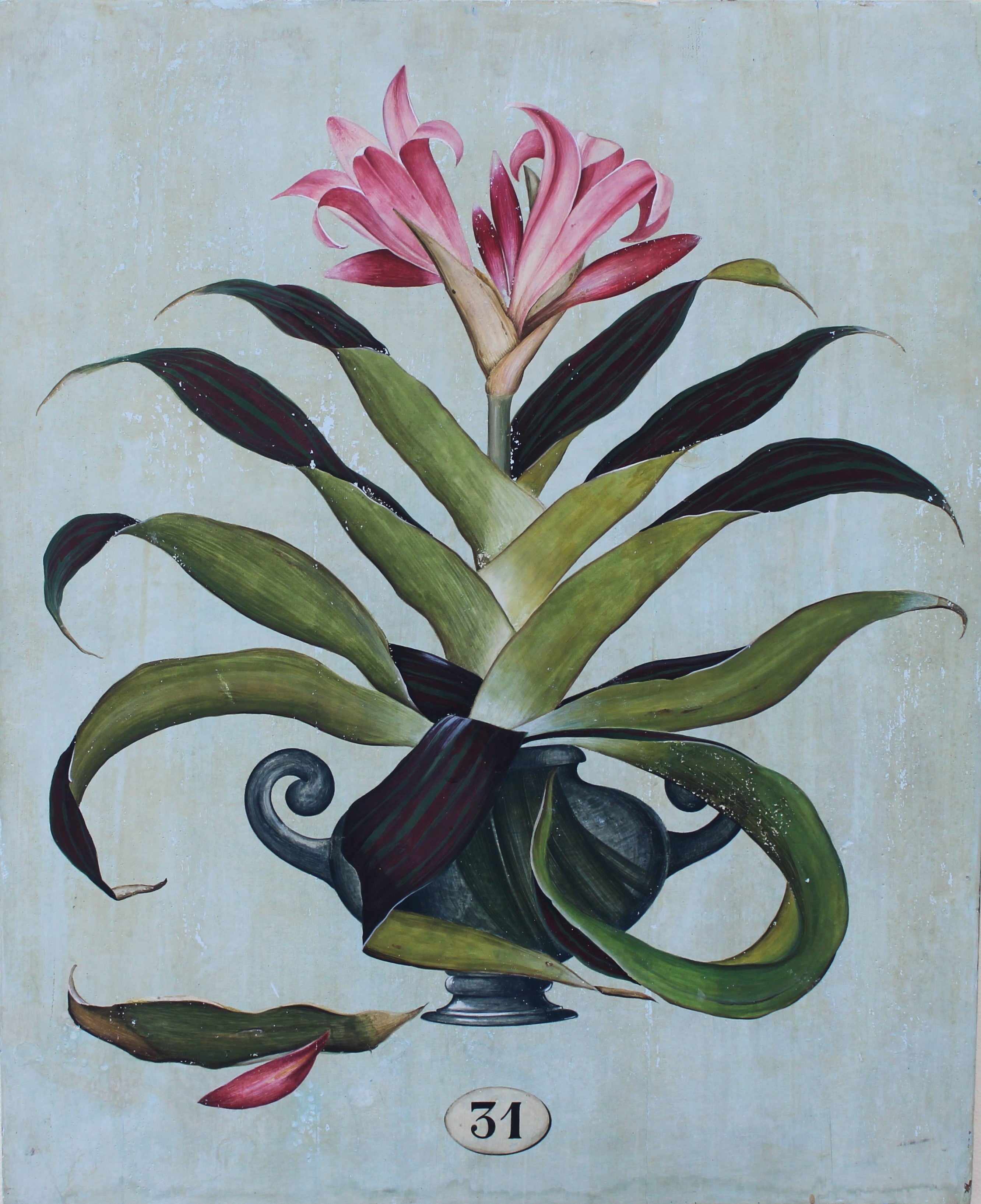Botany 31