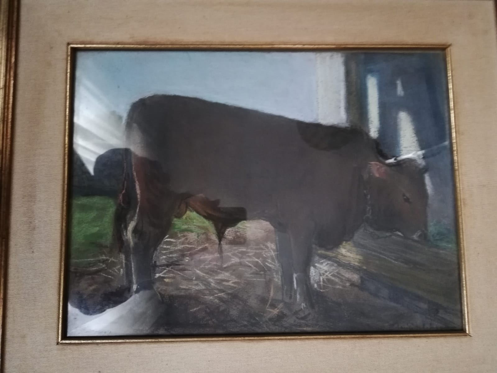 Bovino