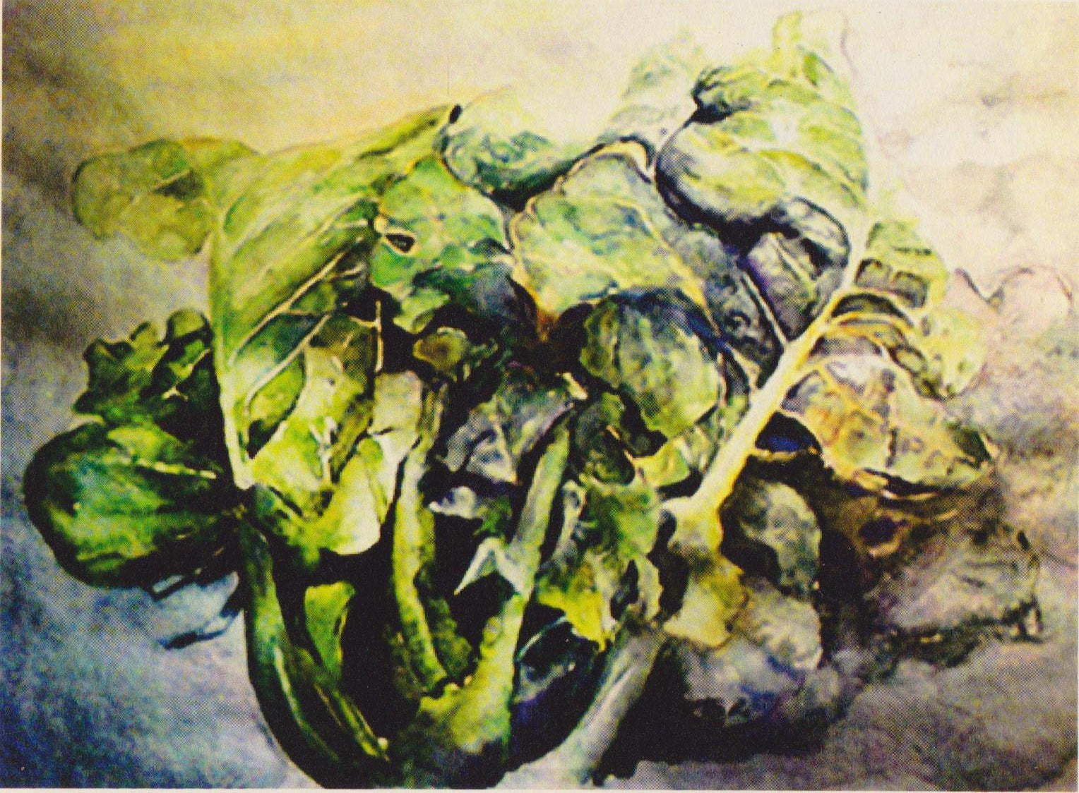 Lavagnino Broccoli