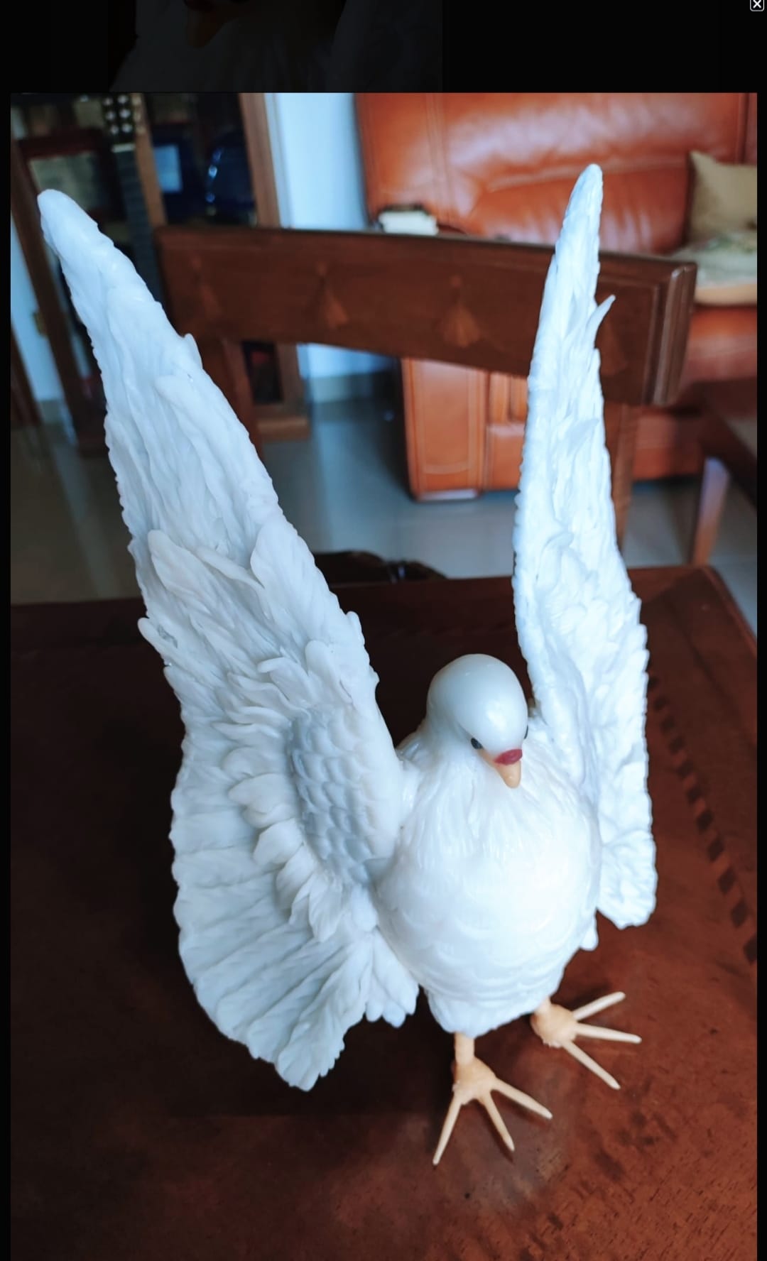 Dove