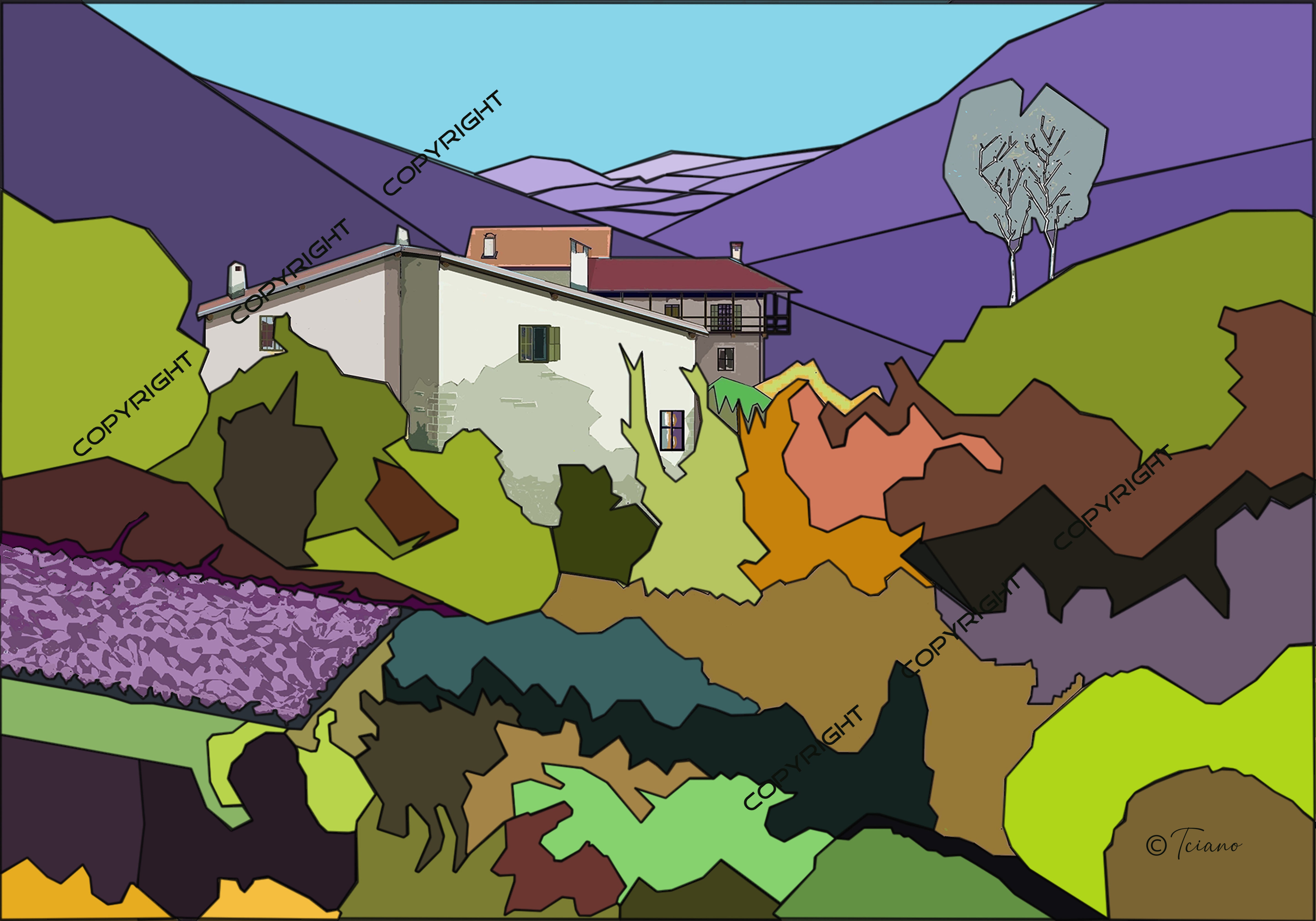 Blue cabbage field