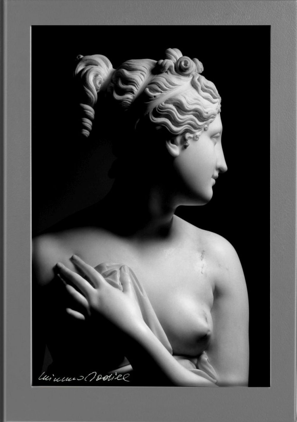 Antonio Canova. Il Segno della bellezza - Utet