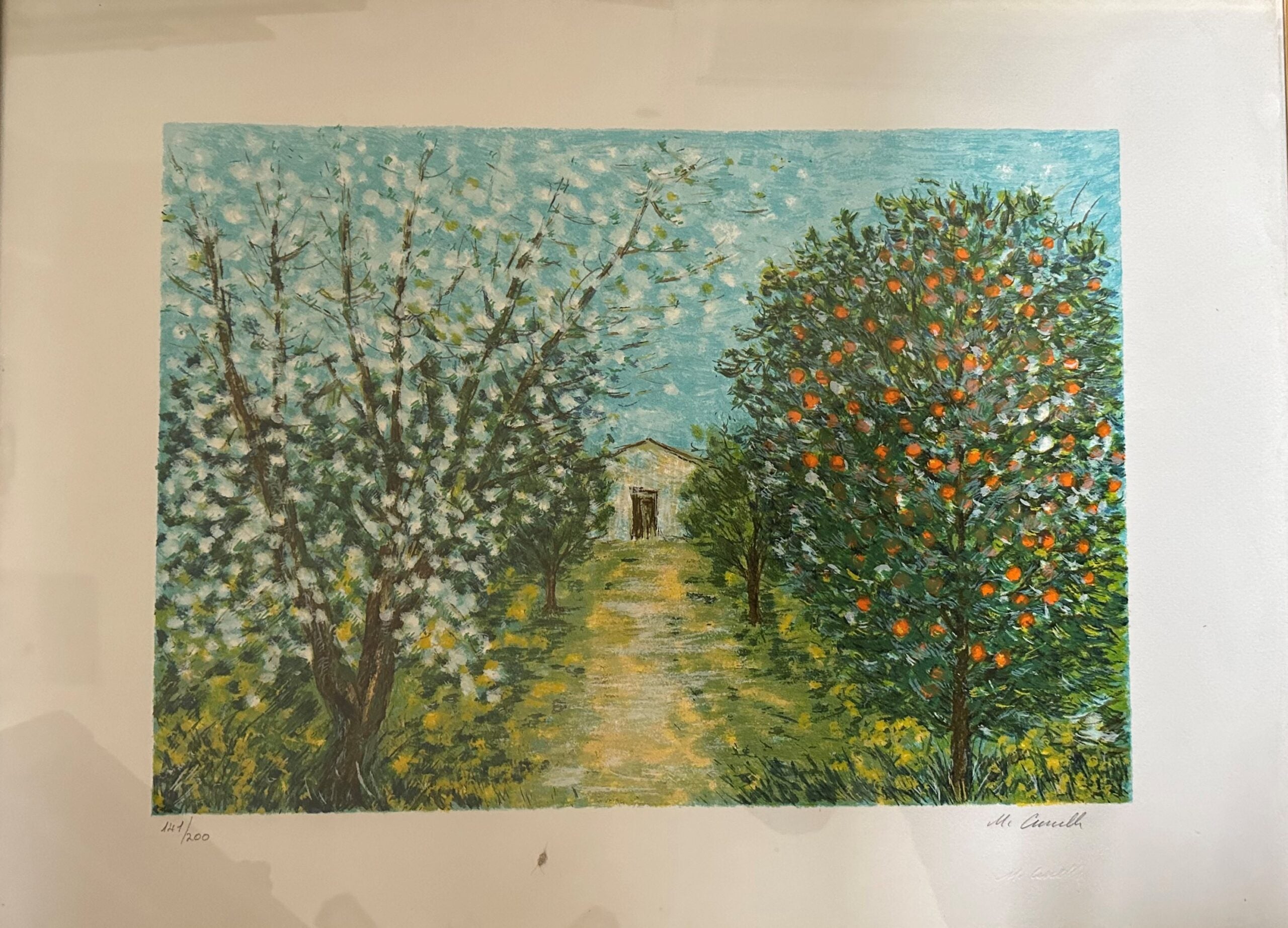 MICHELE CASCELLA - SERIGRAFIA