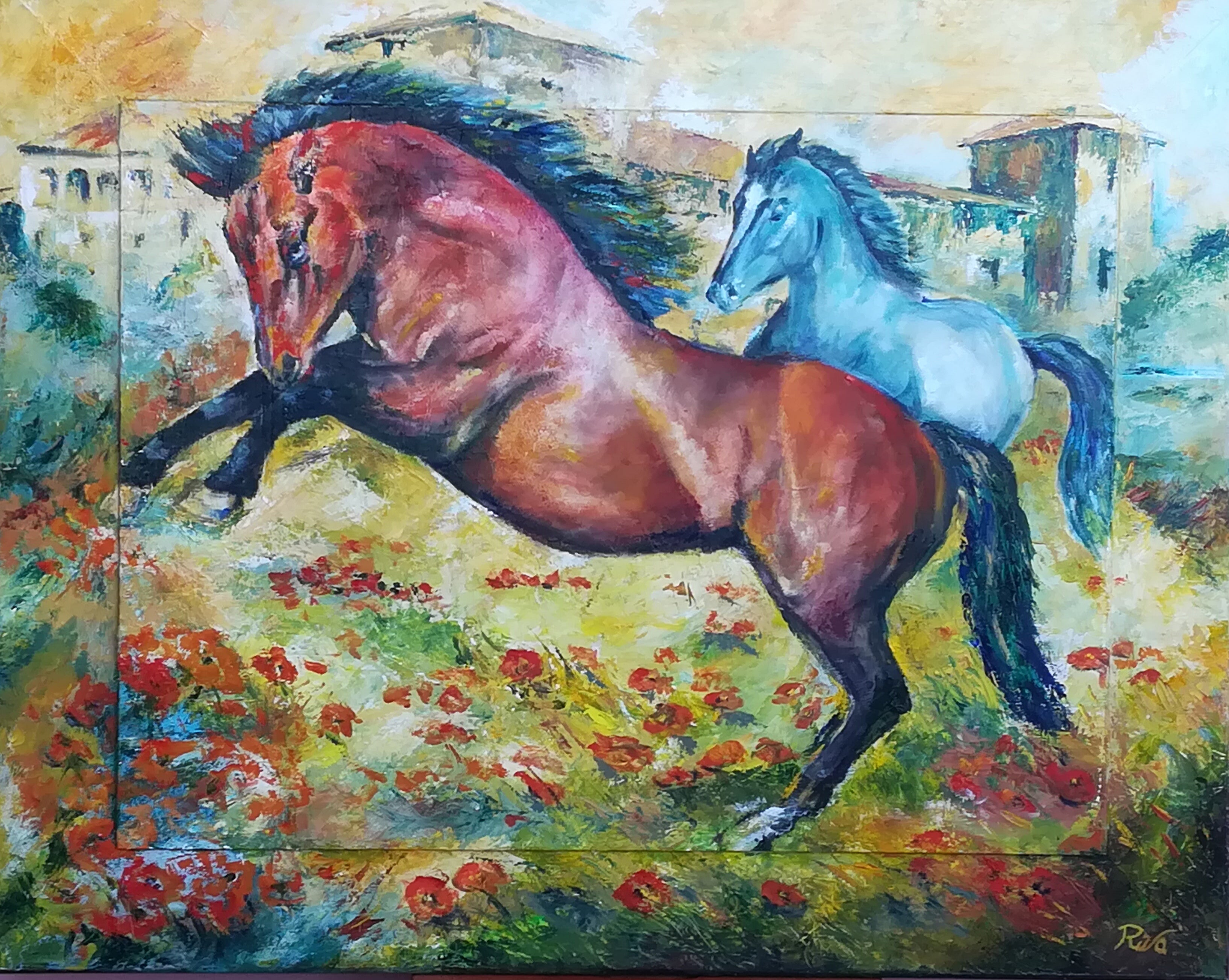 Horses in a poppy field