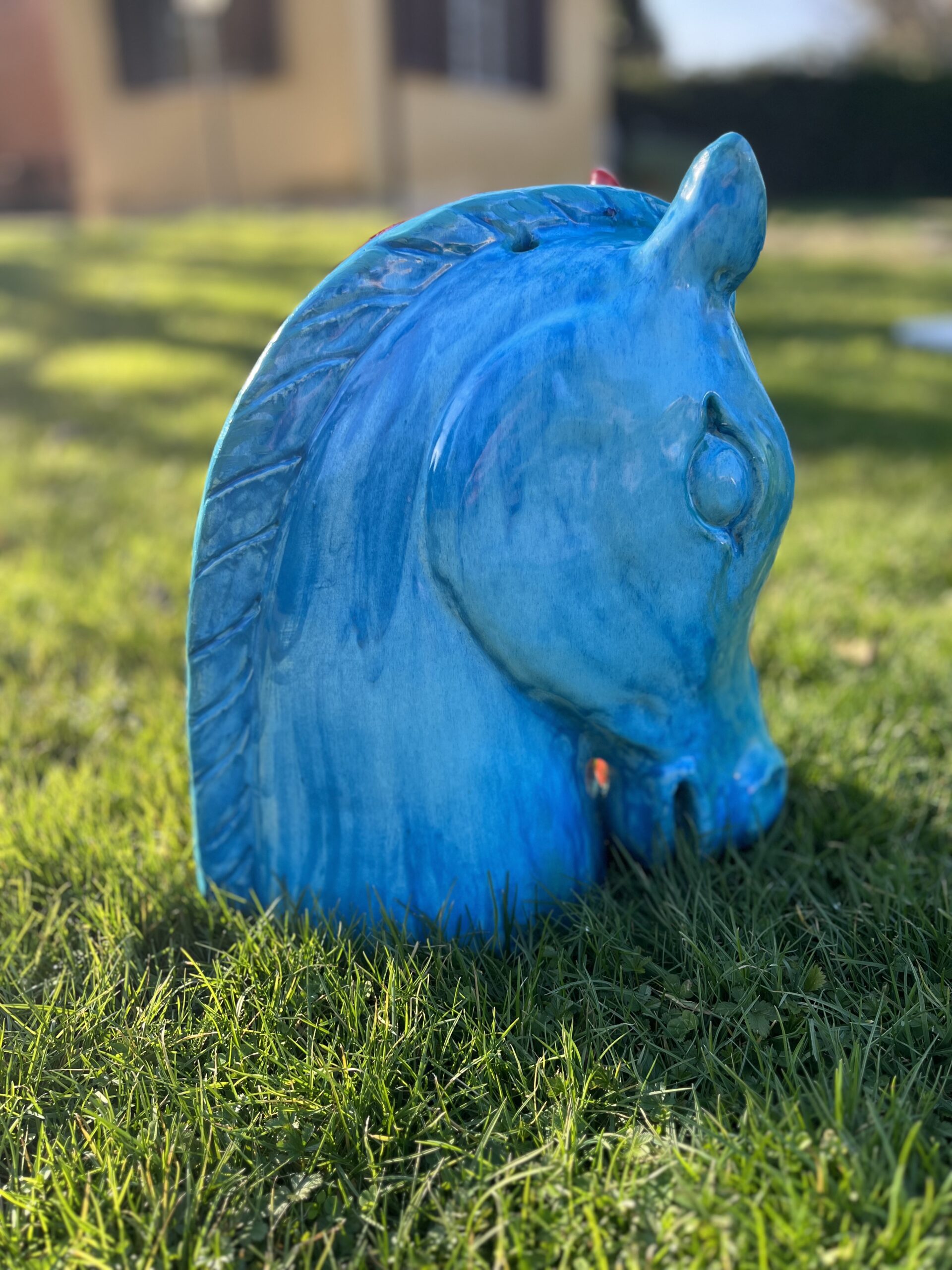 Valentina Saracino - Red and Blue Horse