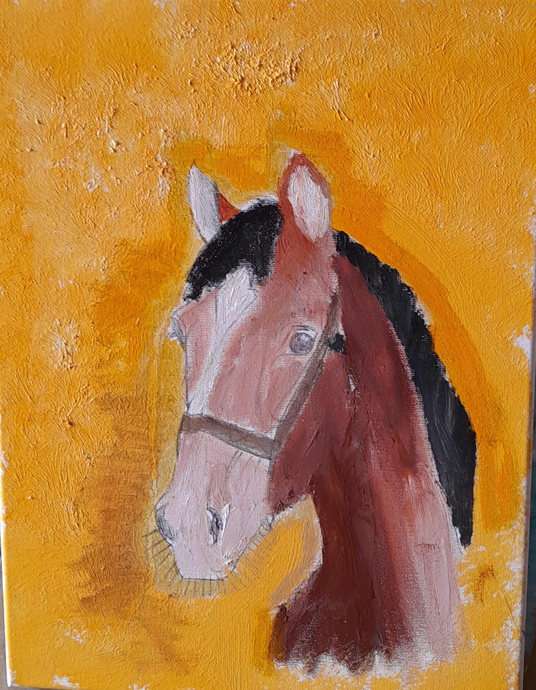 Horse