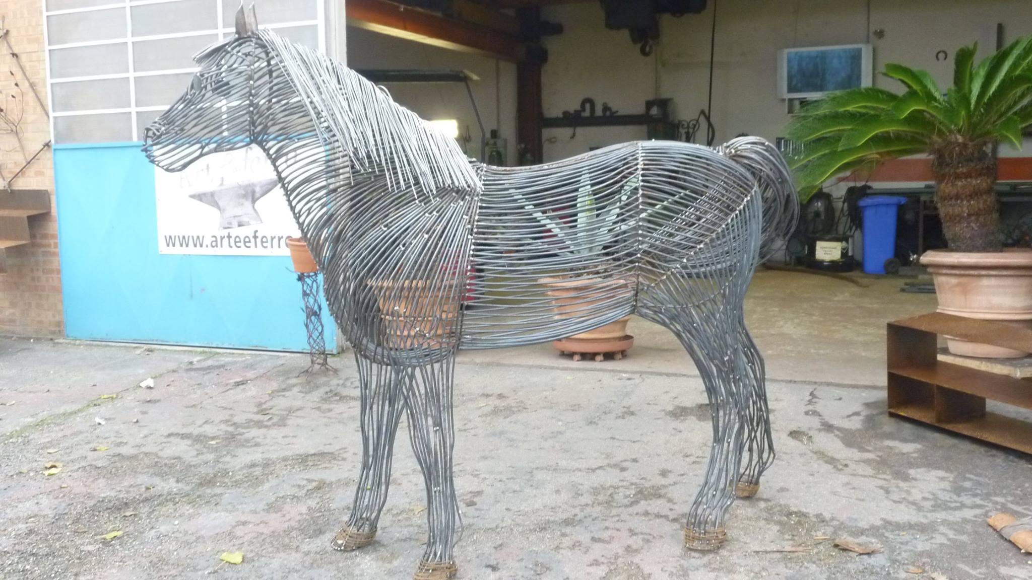 Nicola Cuppari - Caballo