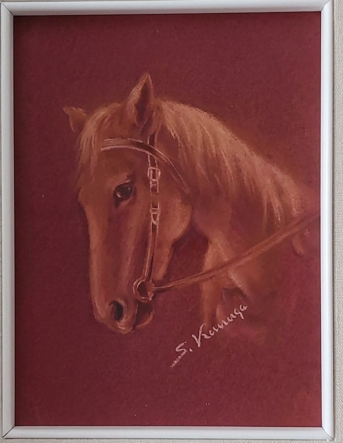 Ritratto cavallo- olio su tela - Salvatore Vernengo