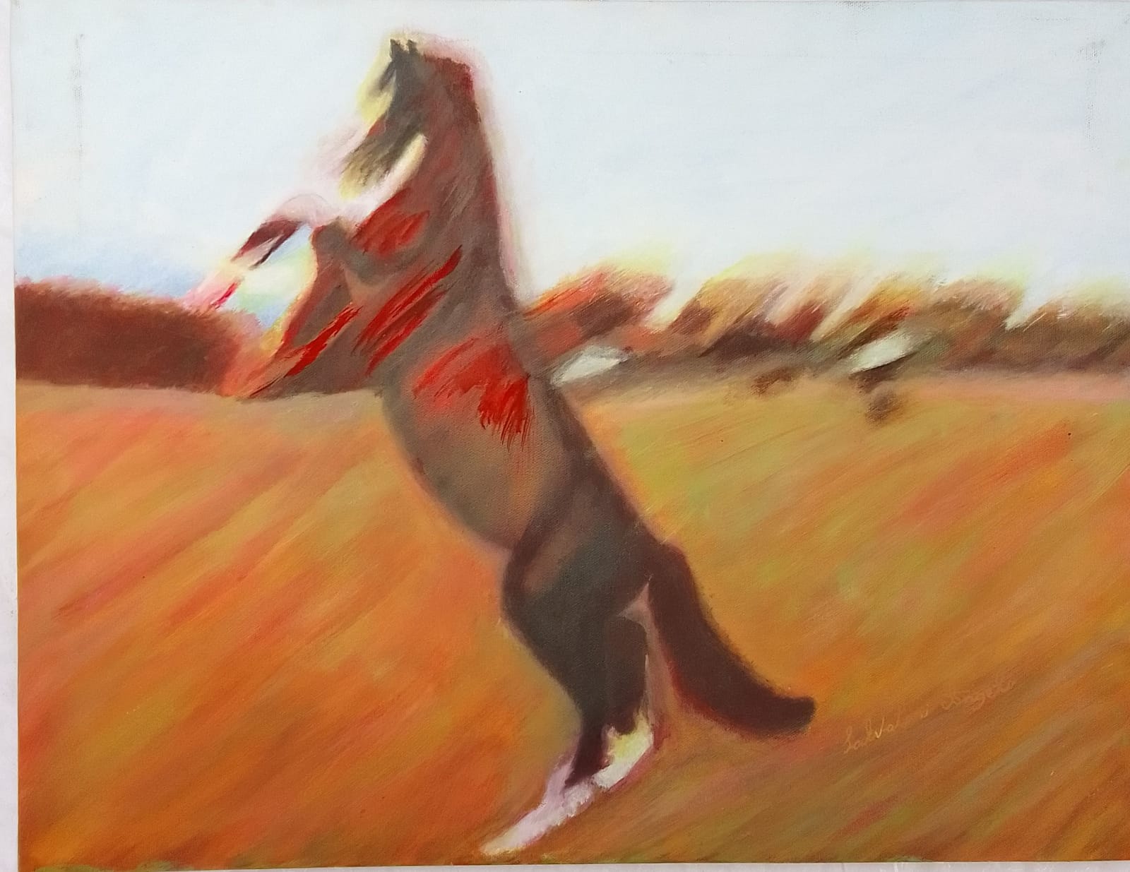 Caballo loco