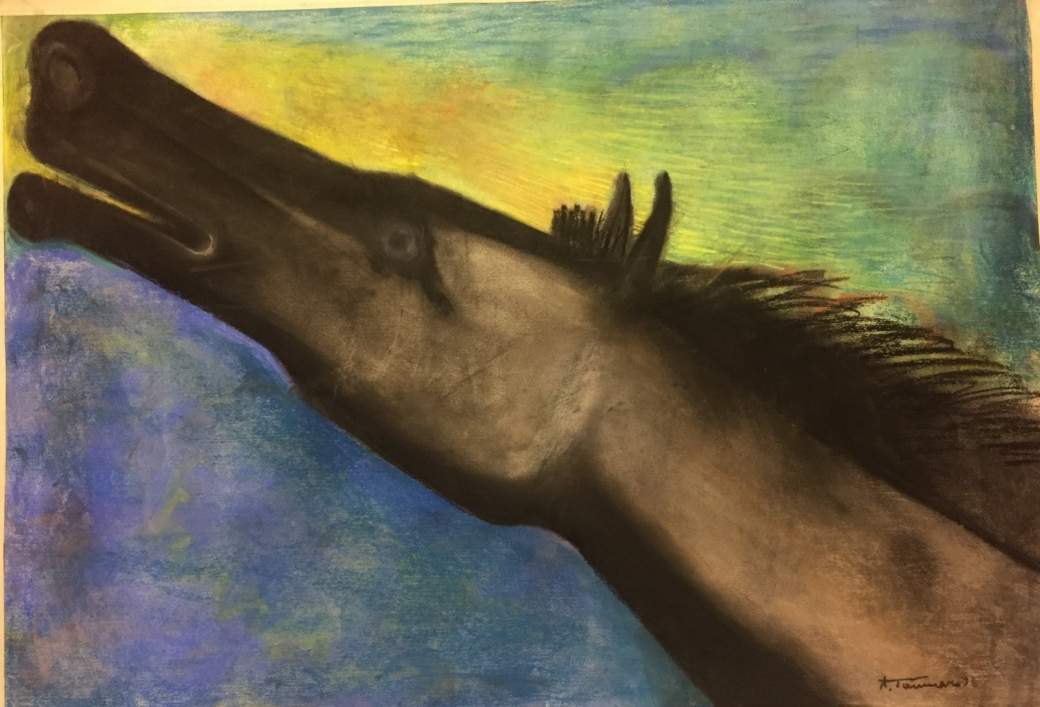 Horse worshipping the sun