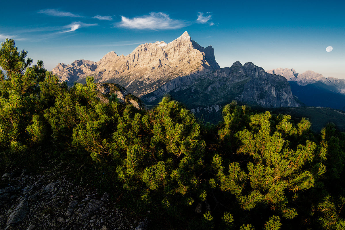 The Dawn of the Civetta