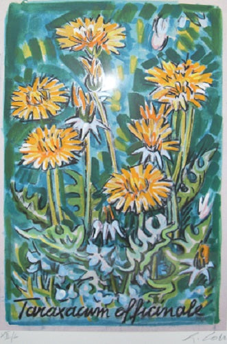 Giancarlo Colli - Flowers