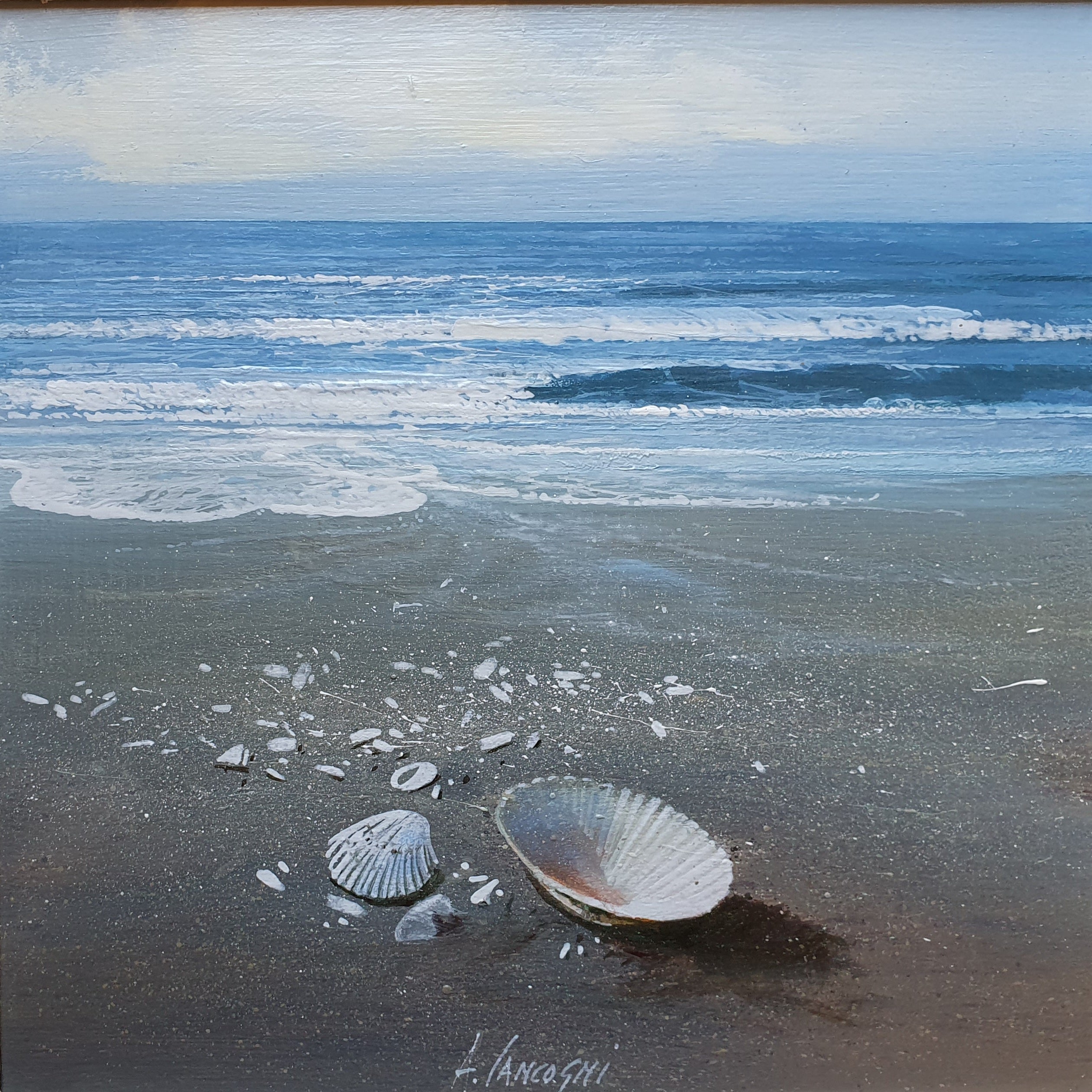 Shells
