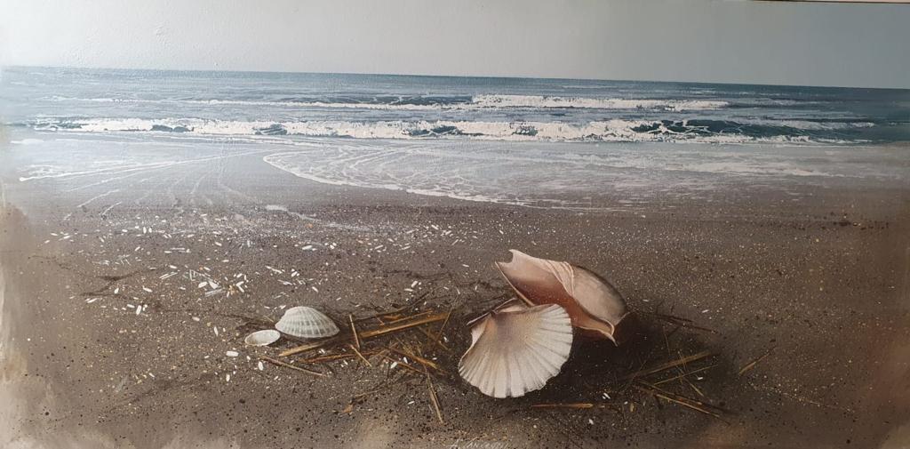 Shells