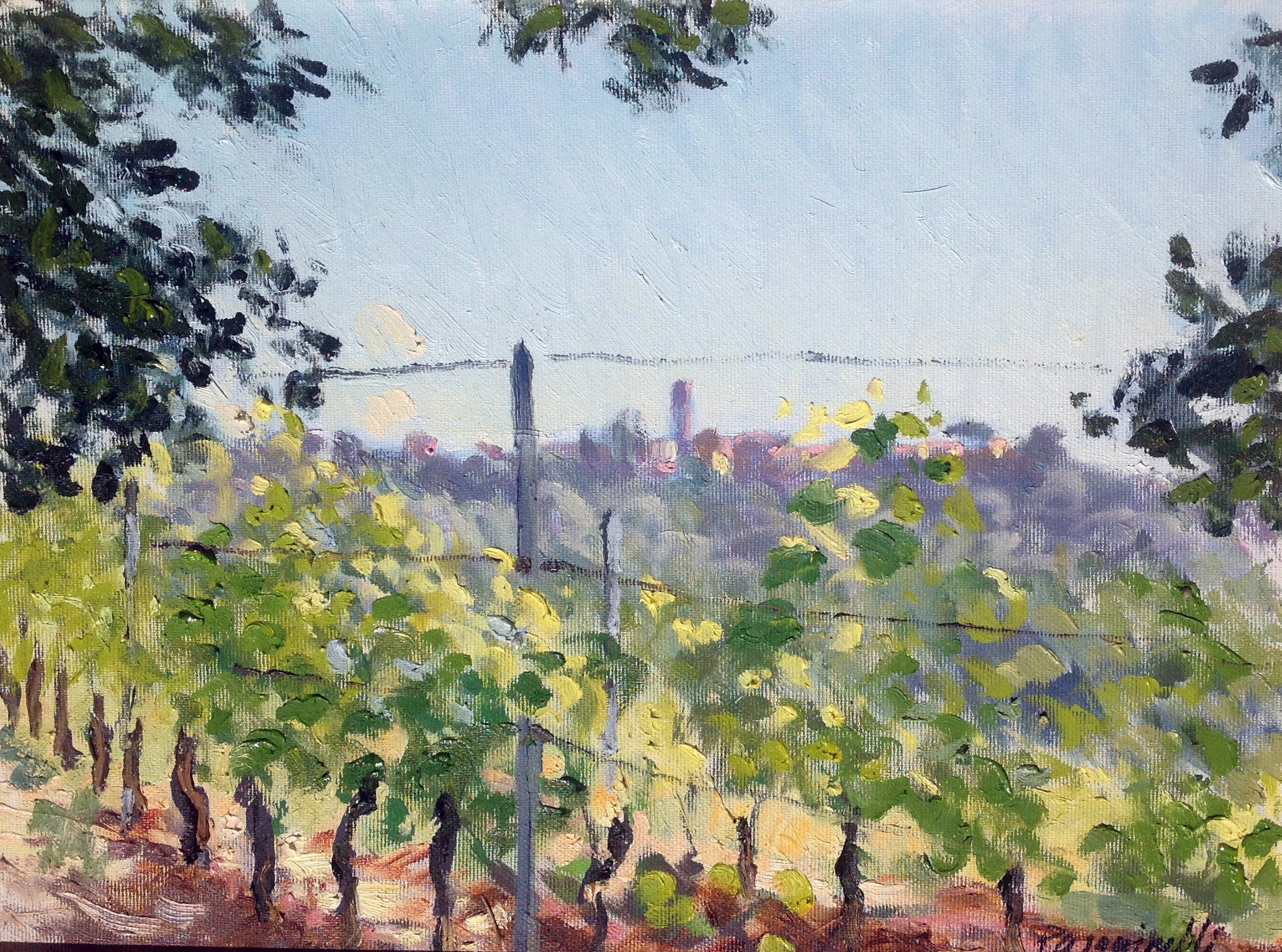 Roberto Pasquinelli - Dalla vigna