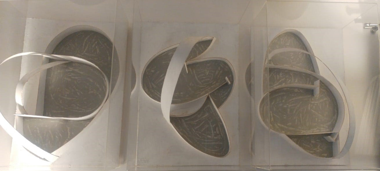 Renato Ranaldi - Architectural Physiognomy
