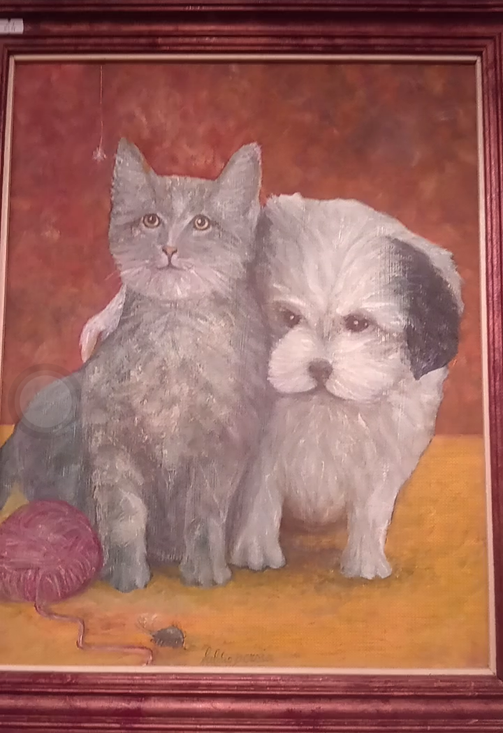 Due amici , cane e gatto