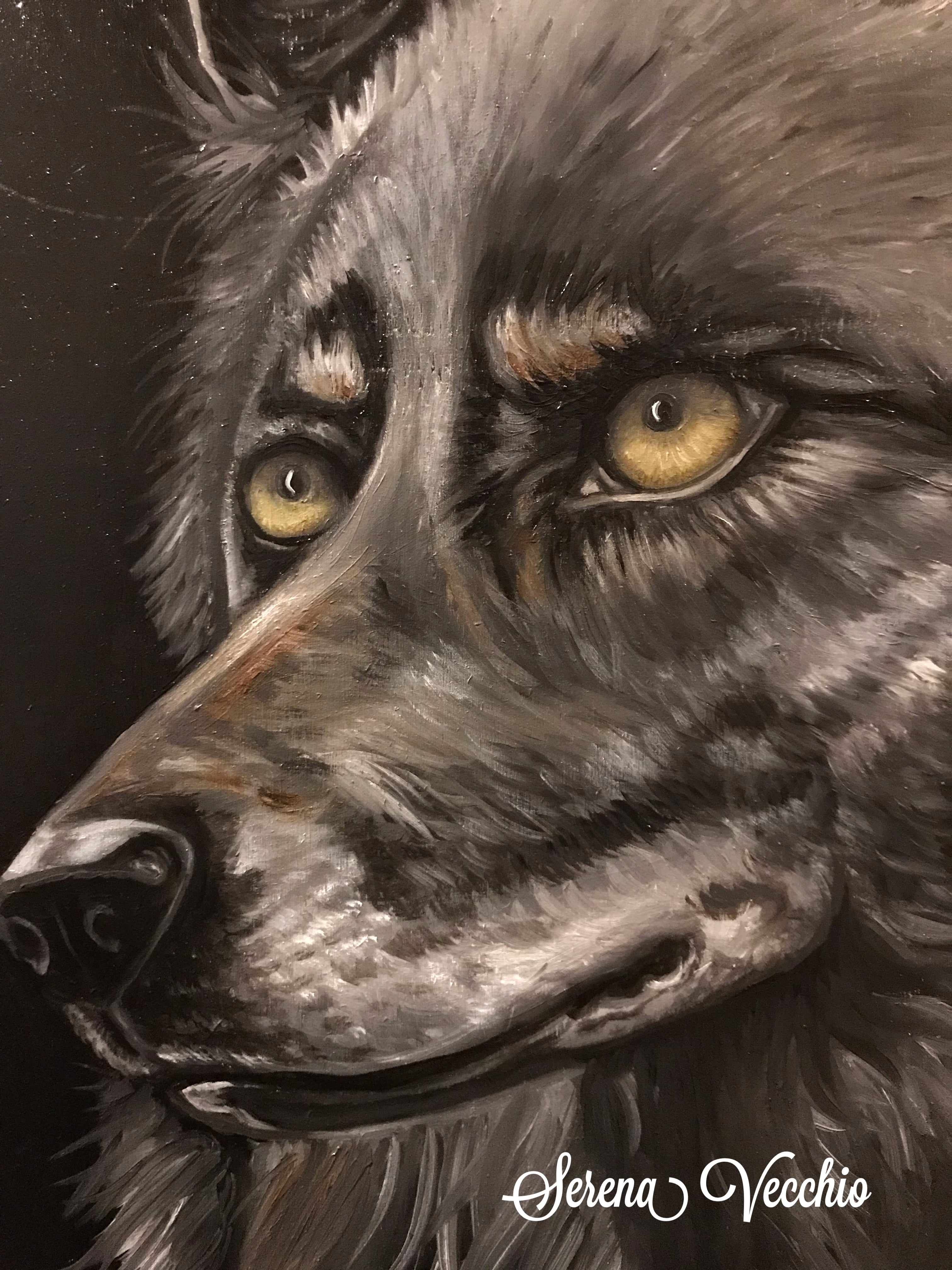 Lupo