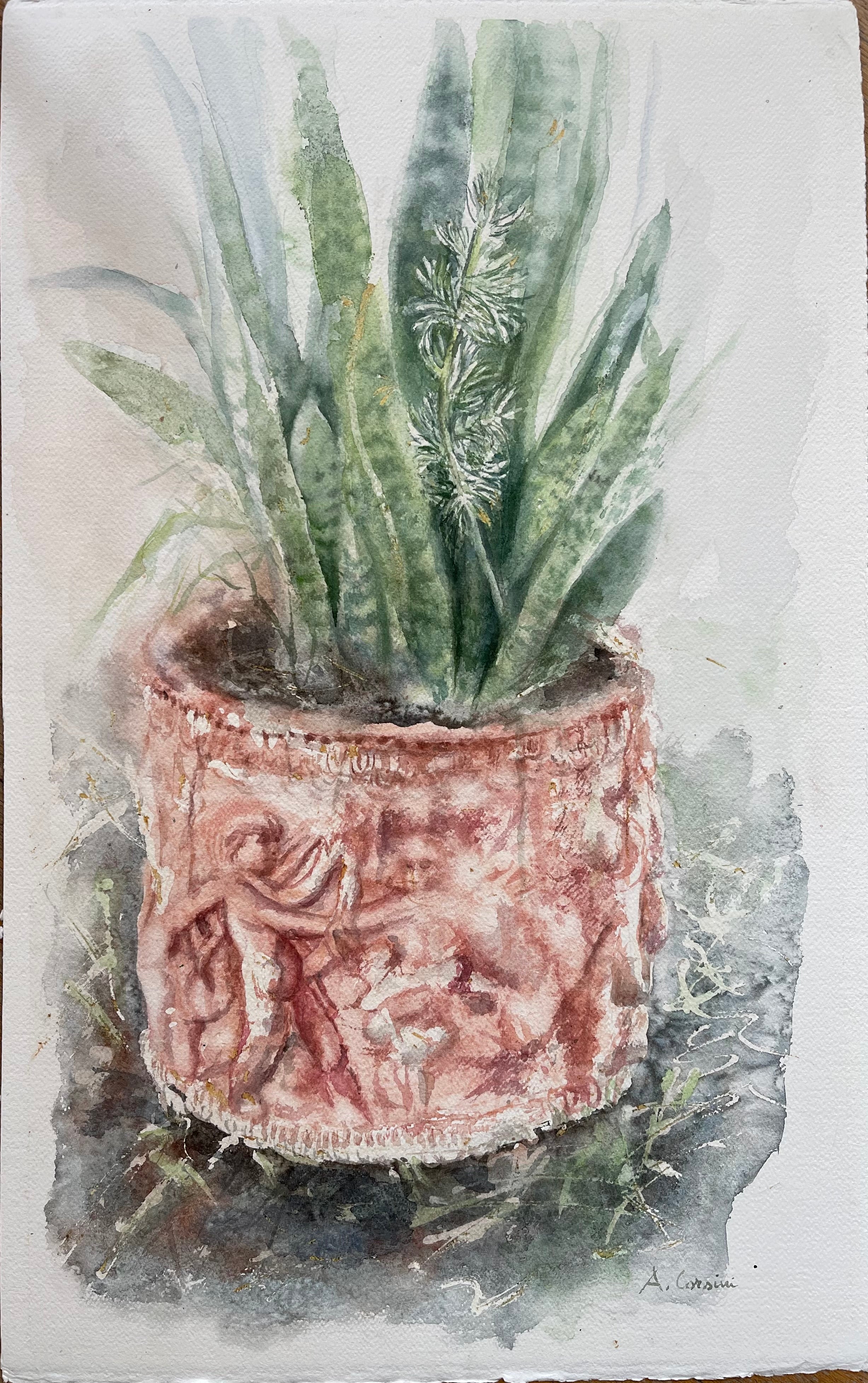FADED GARDEN