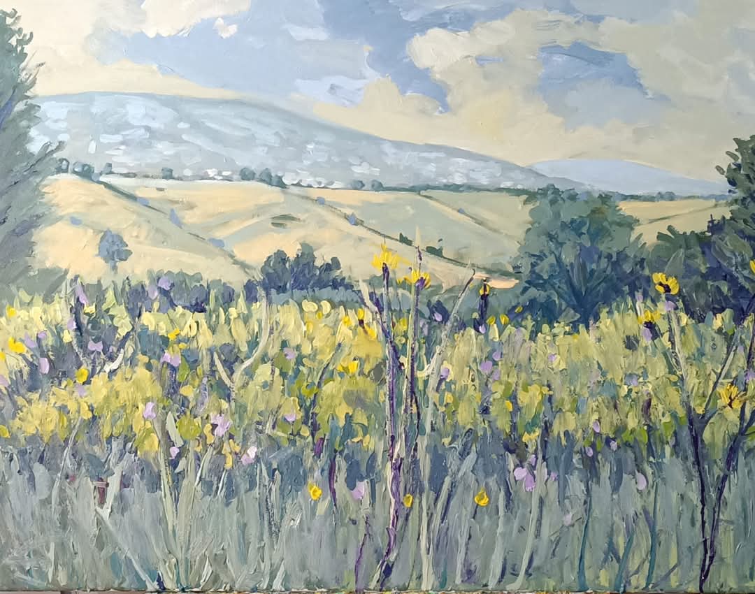 CIOCIARA COUNTRYSIDE