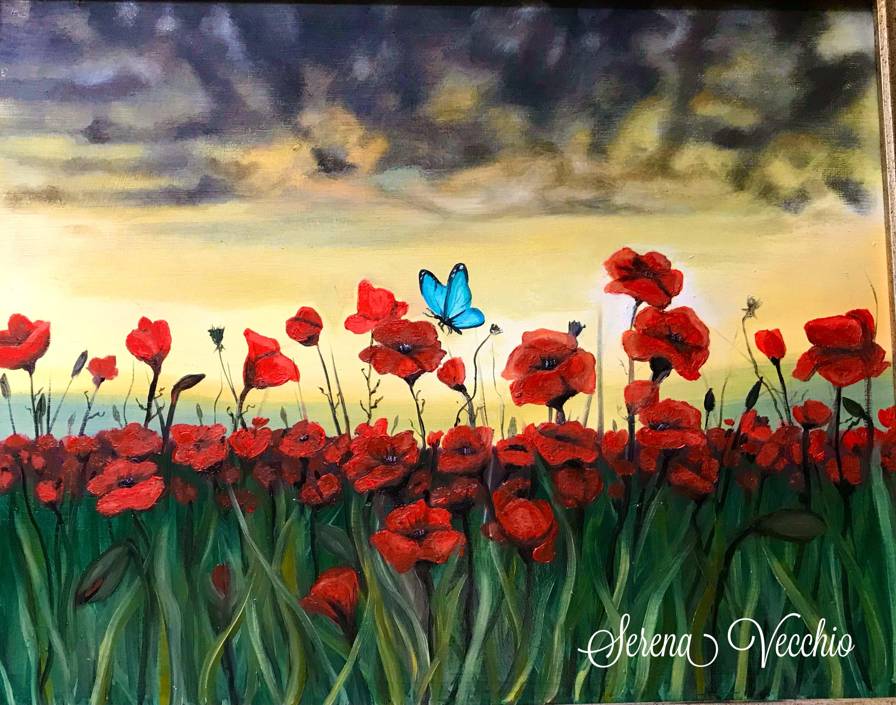 Field of poppies