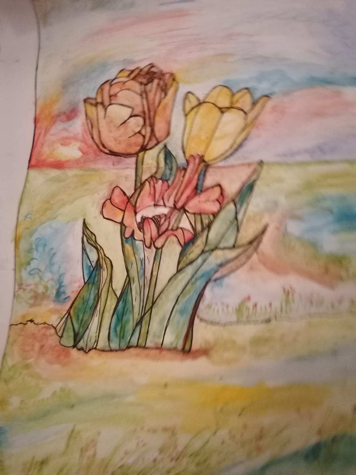 Tulips