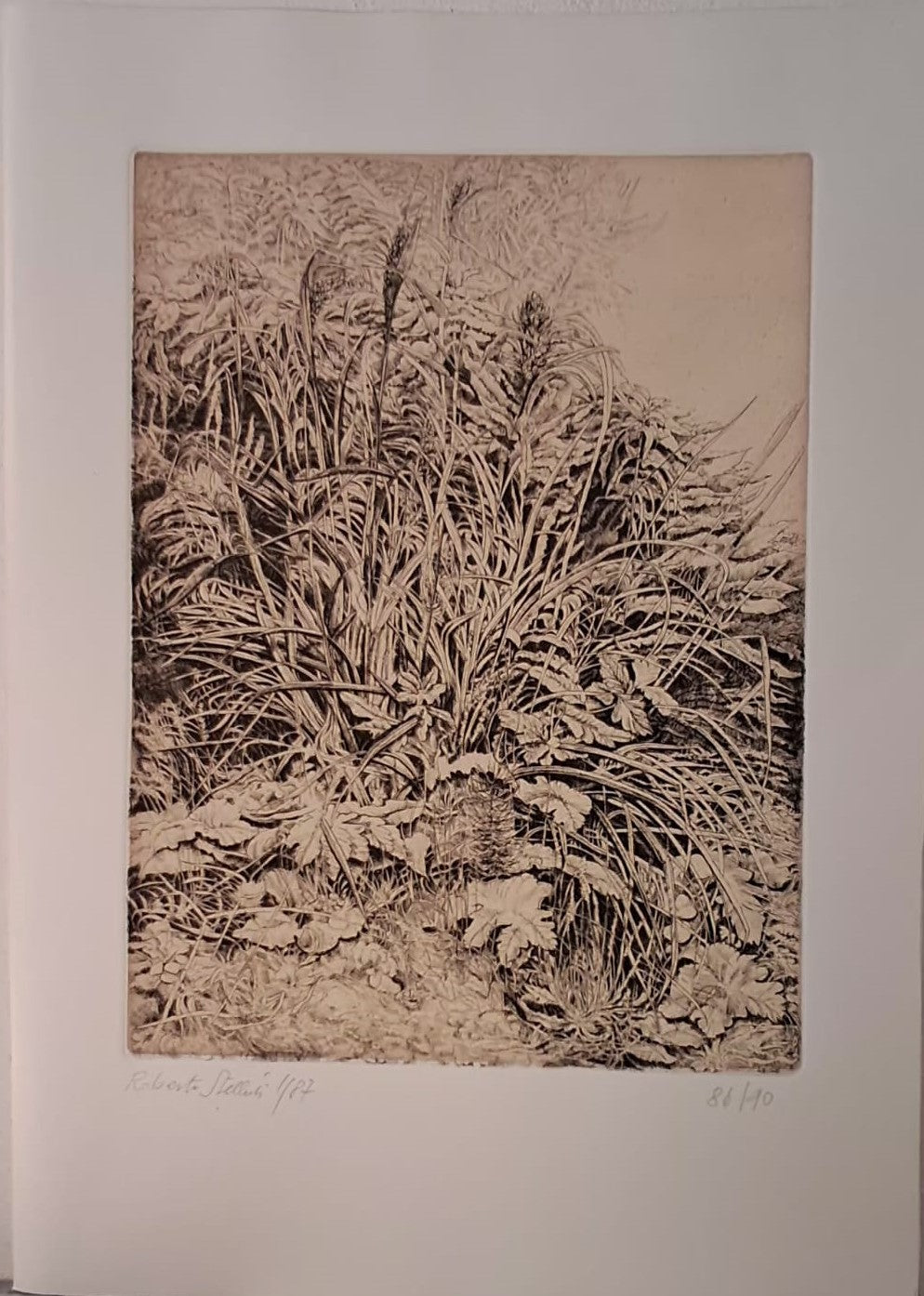 Osvaldo Licini - Omaggio a Osvaldo Licini - Editoria di pregio