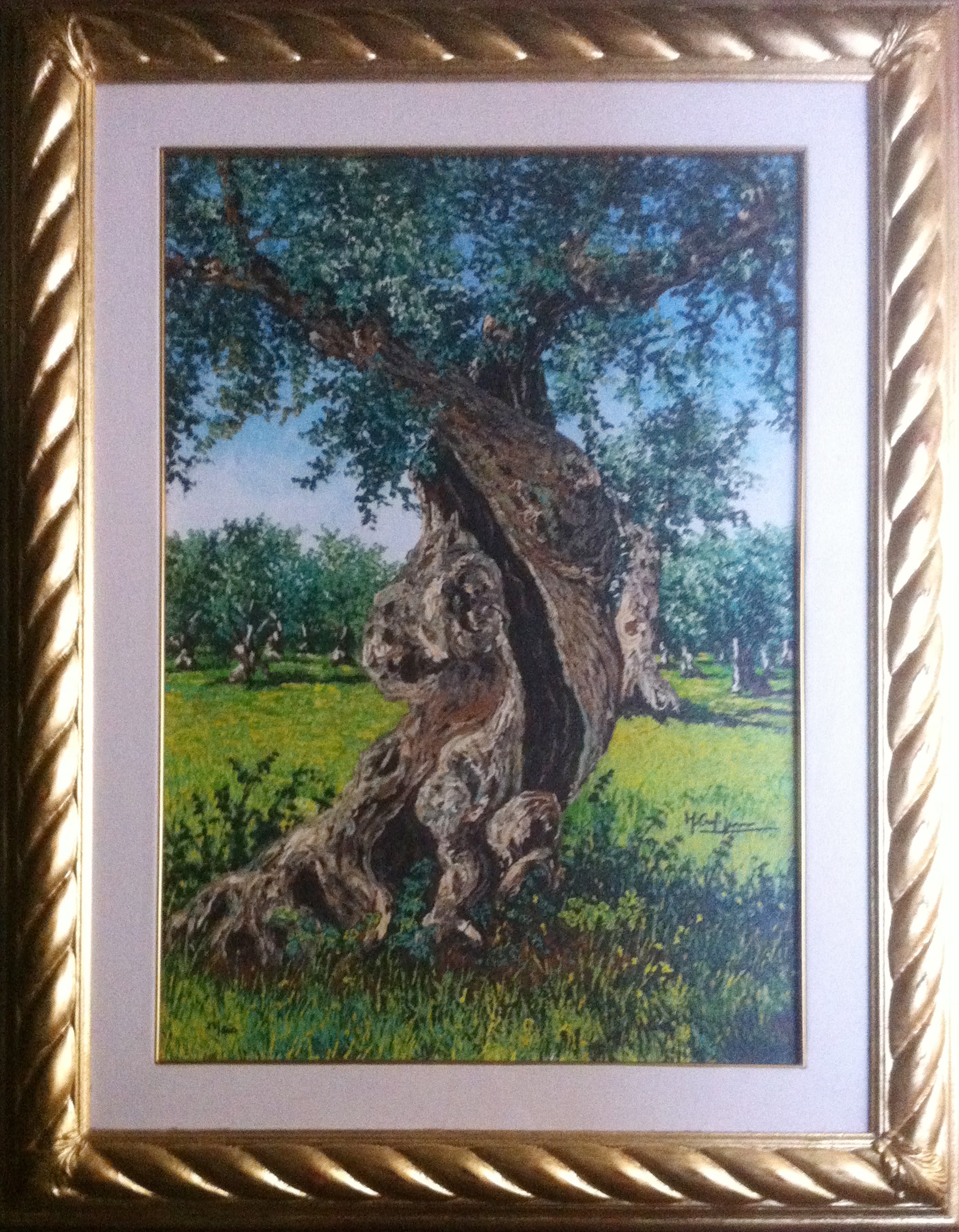Michele Carpignano - Olivo
