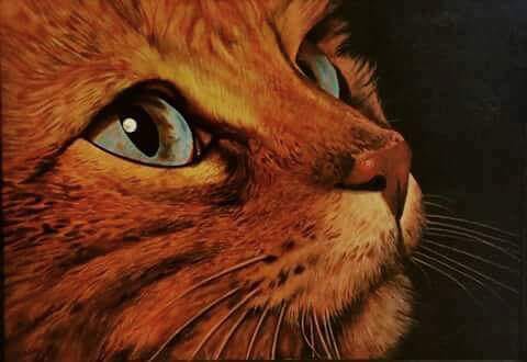 Rolando Conti - Ojos de gato