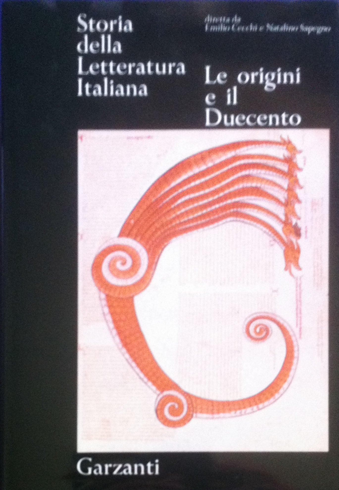 History of Italian Literature - Garzanti