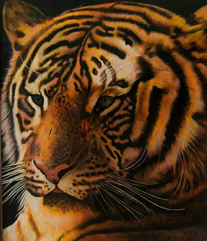 Rolando Conti - Tigre