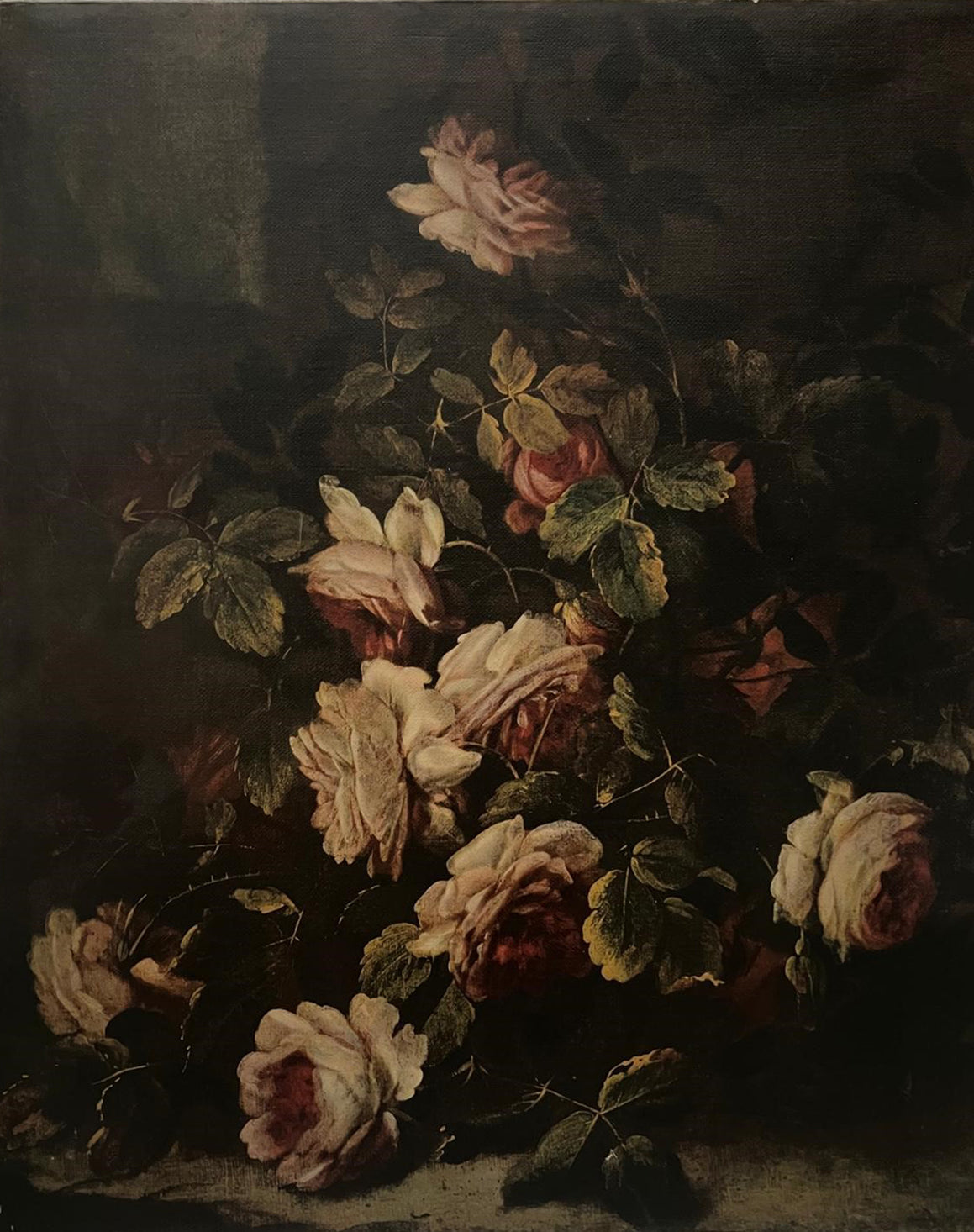 Mario Dè Fiori - Rose