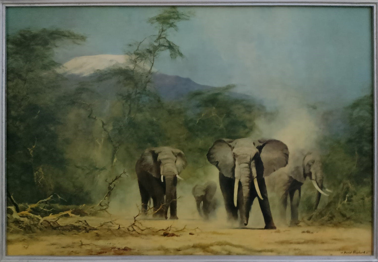 David Shepherd - Elephants in a Group