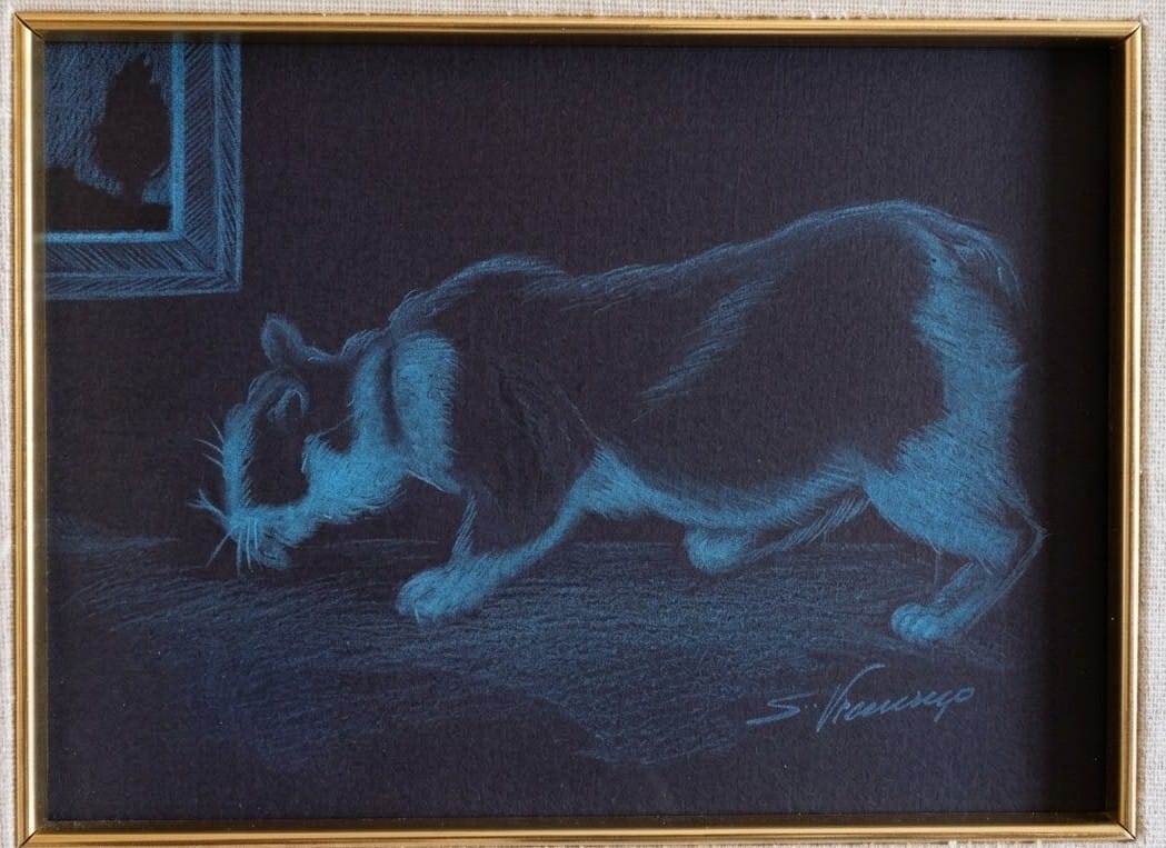 Gatto - olio su tela - Salvatore Vernengo
