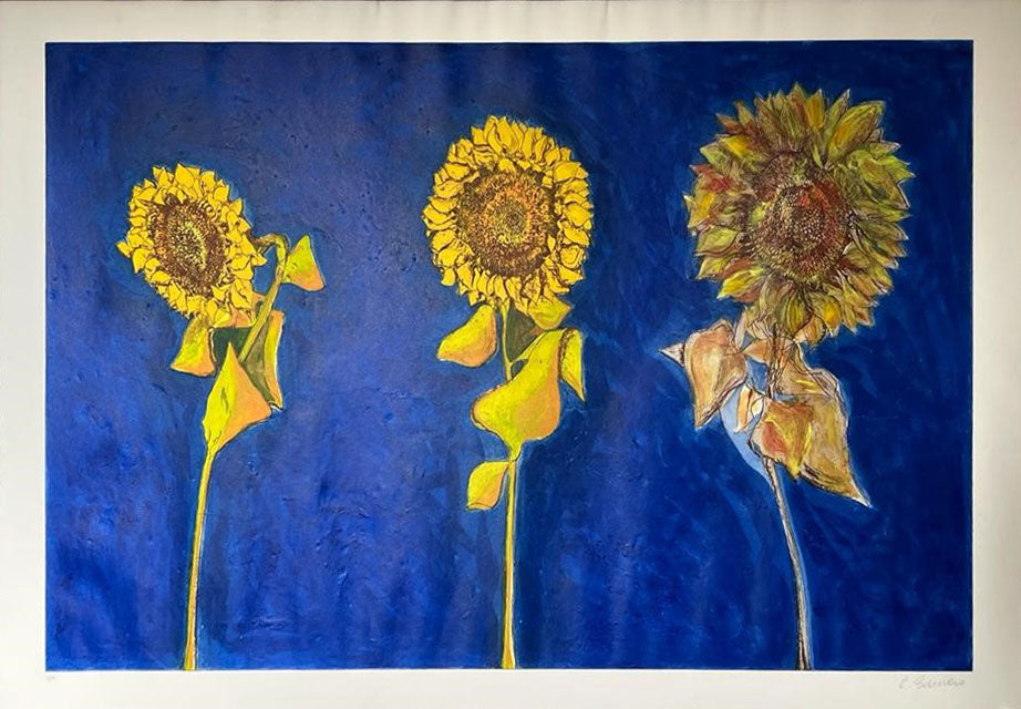 Ermanno Barovero - Girasoles