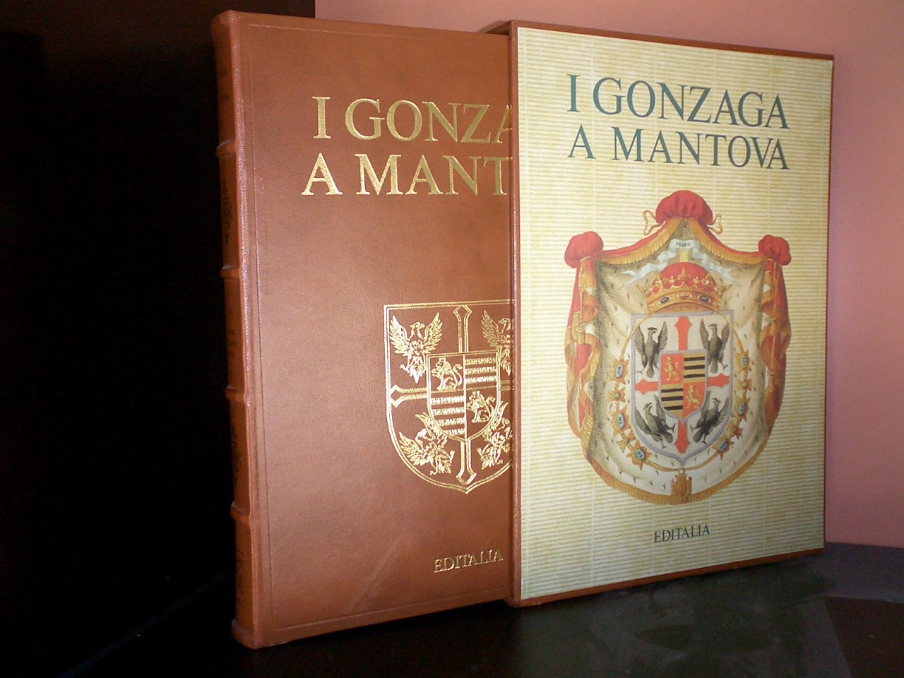 Brescia in History, Como and the Lario, Bergamo in the 19th Century, the Gonzagas in Mantua, Guelph and Ghibelline Cremona, the Viscontis and the Sforzas in Milan, Mantua in the 19th Century - Editalia